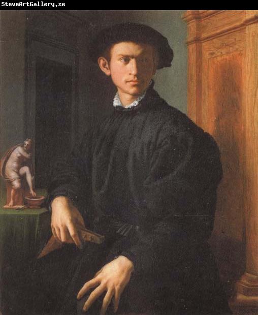 Agnolo Bronzino Portrait of a Young Man with a Lute